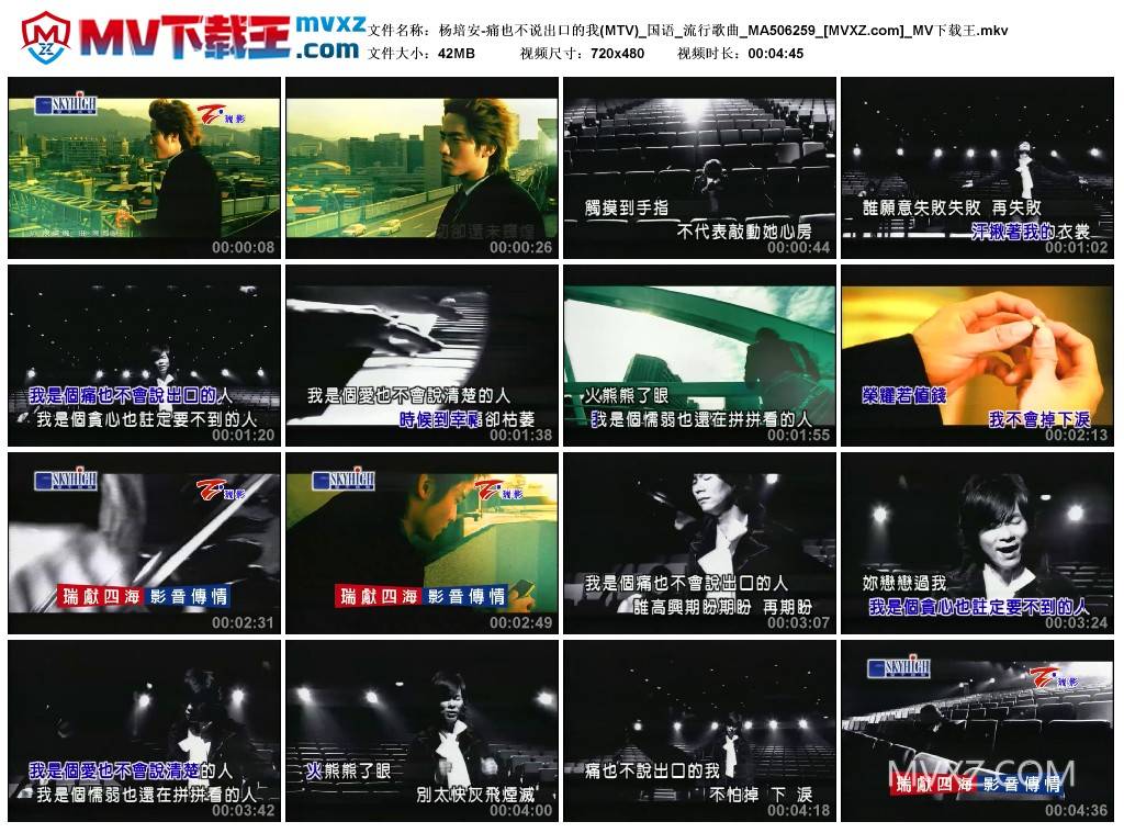 杨培安-痛也不说出口的我(MTV)_国语_流行歌曲_MA506259